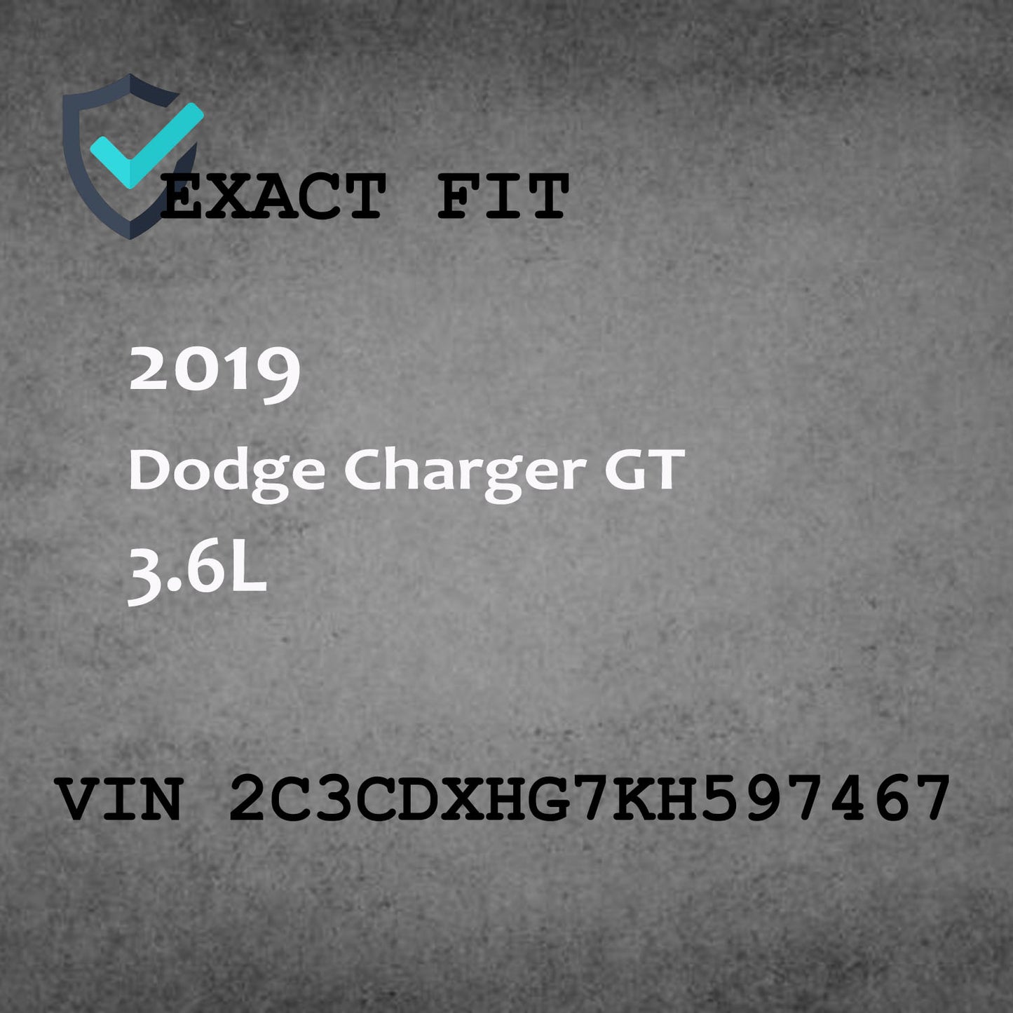 Radio Audio with Display And Receiver Fits for 2019 Charger GT 3.6L