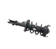 Front Left Shock Absorber Strut & Coil Spring - 2023 Hyundai Kona Electric AWD