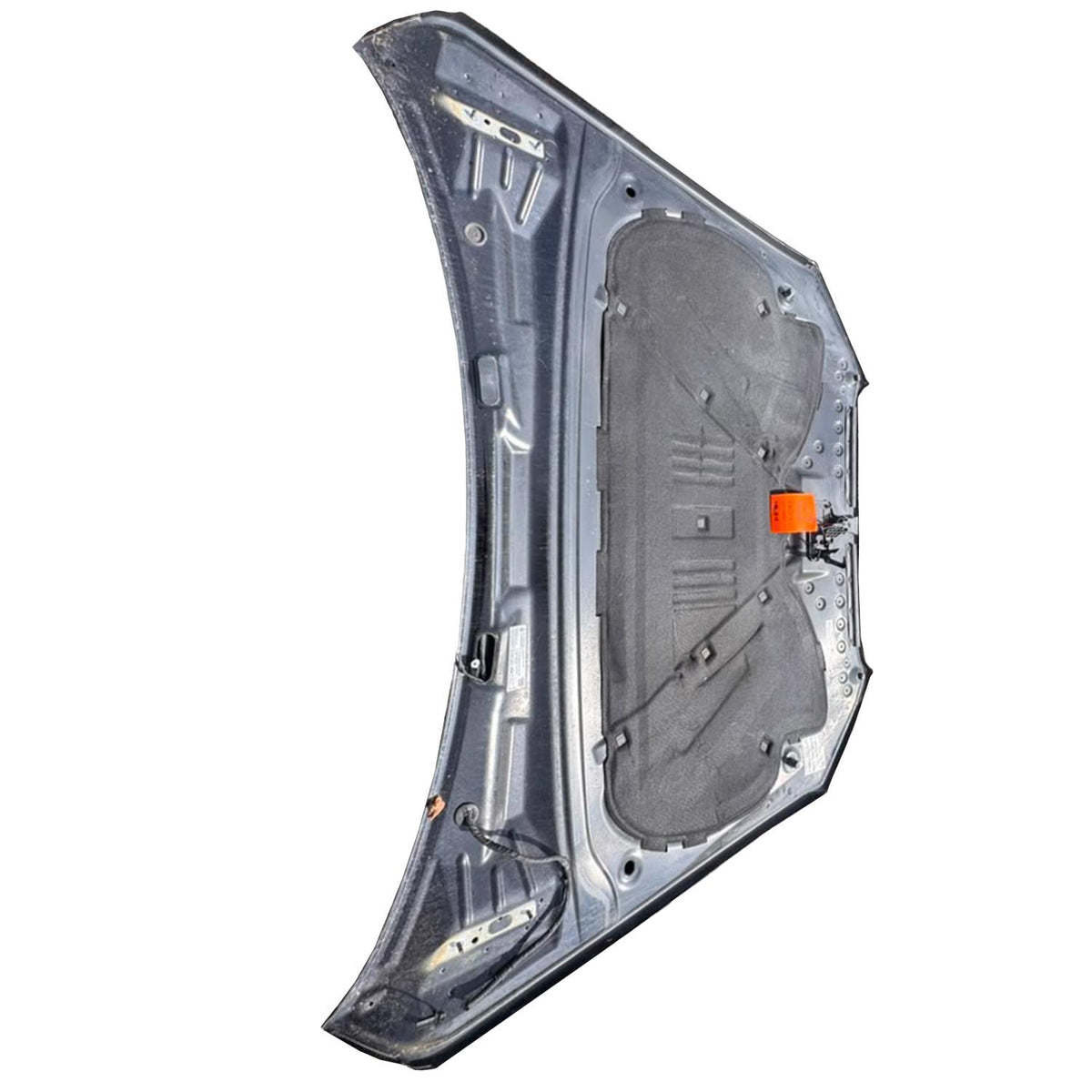 2009–2012 Audi Q5 Hood OEM 8R0823029
