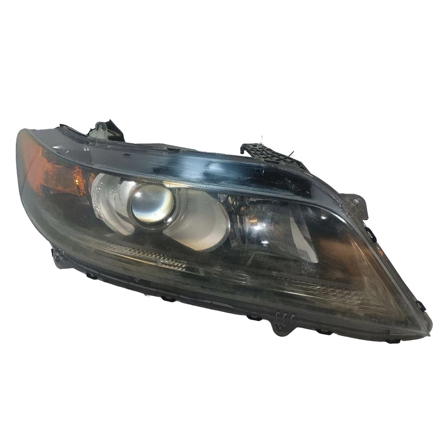 Right Passenger Side Foggy Headlight - 2013 Honda Accord EX-L Coupe 2.4L