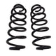 Rear Left & Right Side Coil Spring Set Fits 2017 Toyota Mirai Sedan