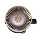 HVAC Heater Blower Motor Fan Fits 2013 Honda Accord Coupe 2.4L 79310-T2F-A01