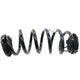 Rear Left Side Suspension Coil Spring - 2020 Alfa Romeo Giulia Sedan 2.0L